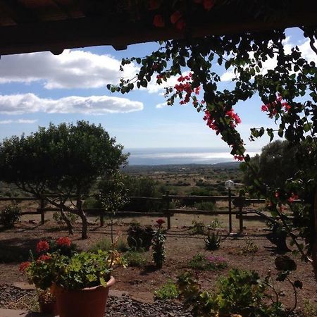 Galtellì Agriturismo Su Nuragheddu 빌라 외부 사진