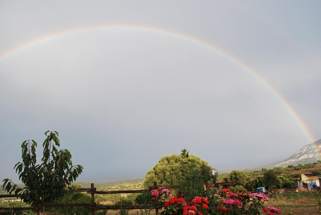 Galtellì Agriturismo Su Nuragheddu 빌라 외부 사진