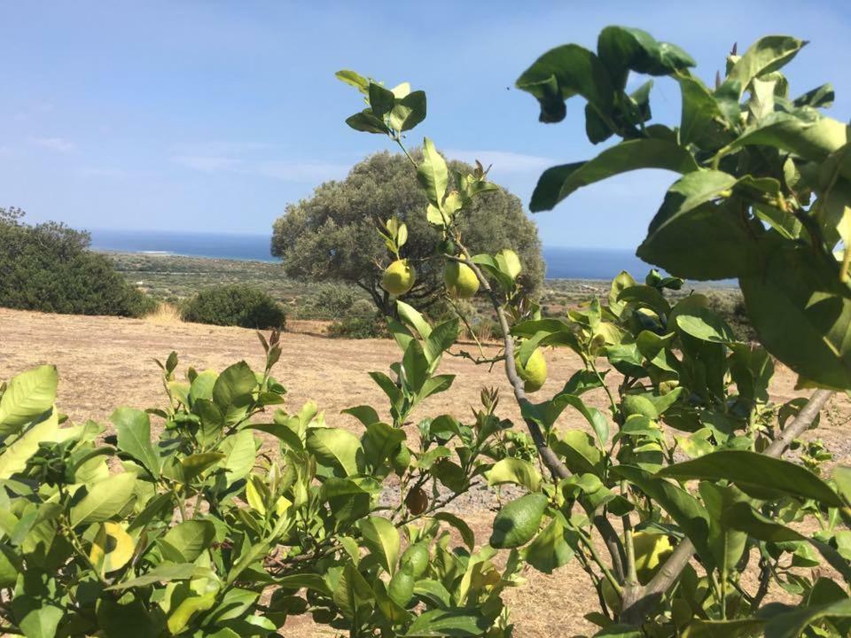 Galtellì Agriturismo Su Nuragheddu 빌라 외부 사진